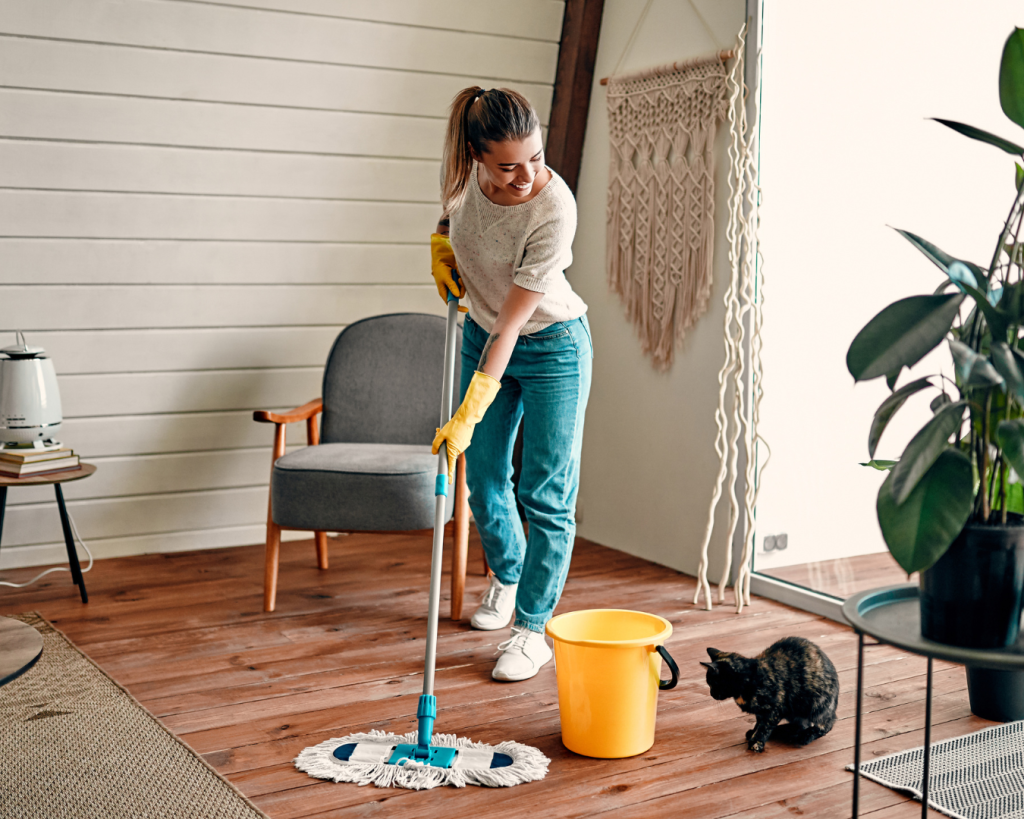 Hobi Bersih-Bersih Rumah